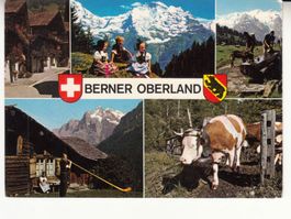 Berner Oberland 1979