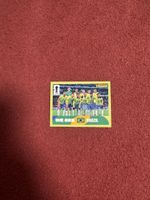 Panini Sticker Gruppenbild Brasilien Nr. 13