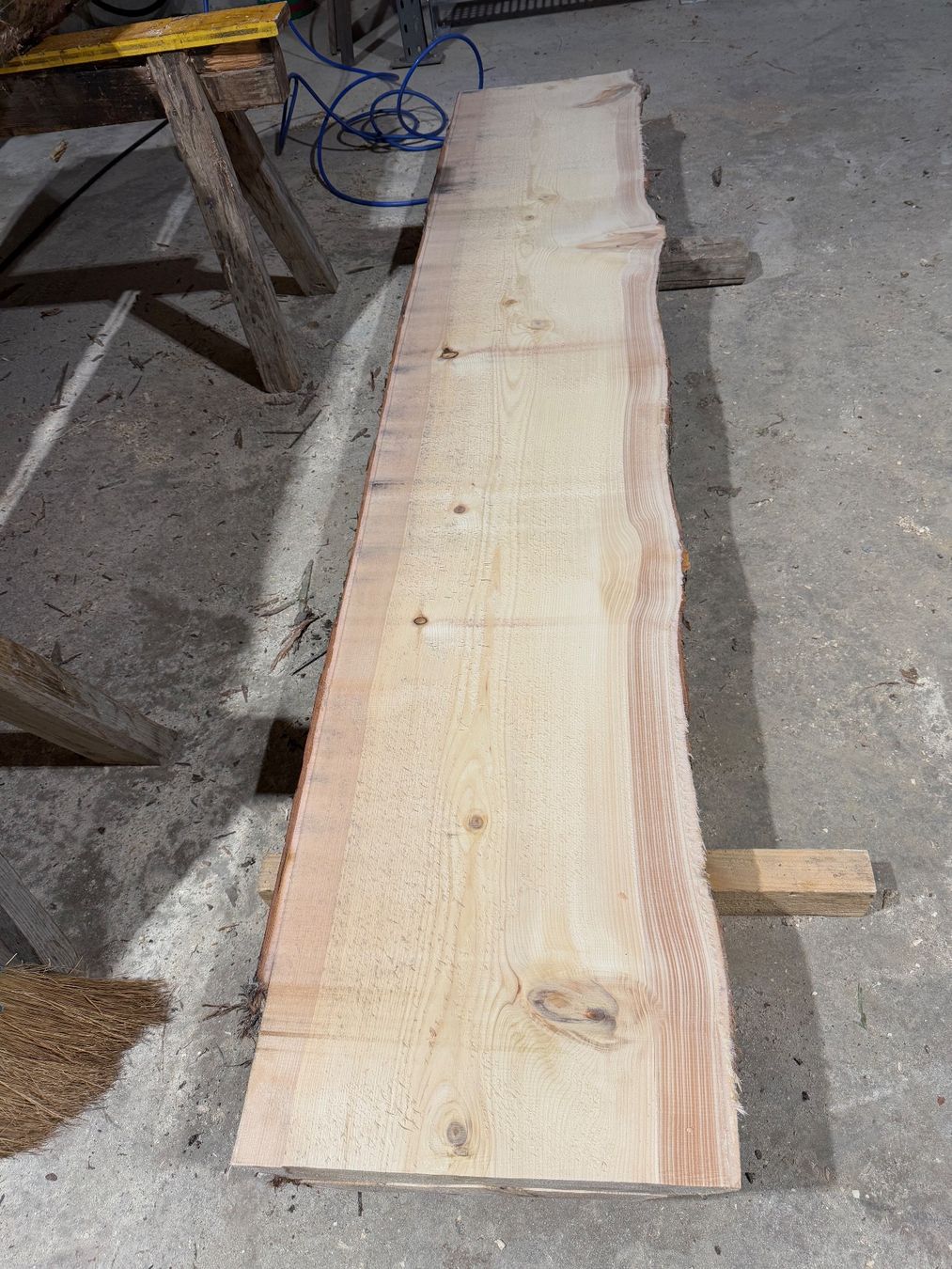 Articoli in legno: Thuja klotzbretter ganzer Stamm – Usato da Holziken venduto da Timbergrizzly 1
