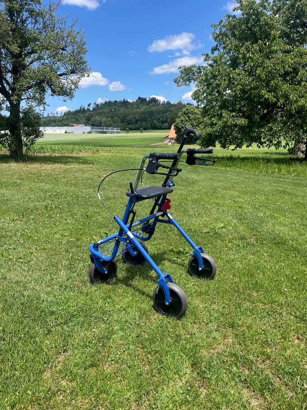 Ausili per la deambulazione: Rollator Zusammenklappbar – Usato da Allmendingen b. BE venduto da juair 1
