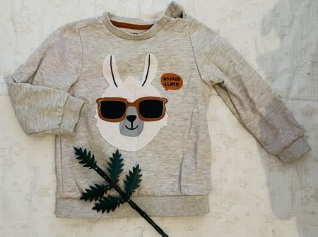 Cool Llama Sweatshirt 🦙