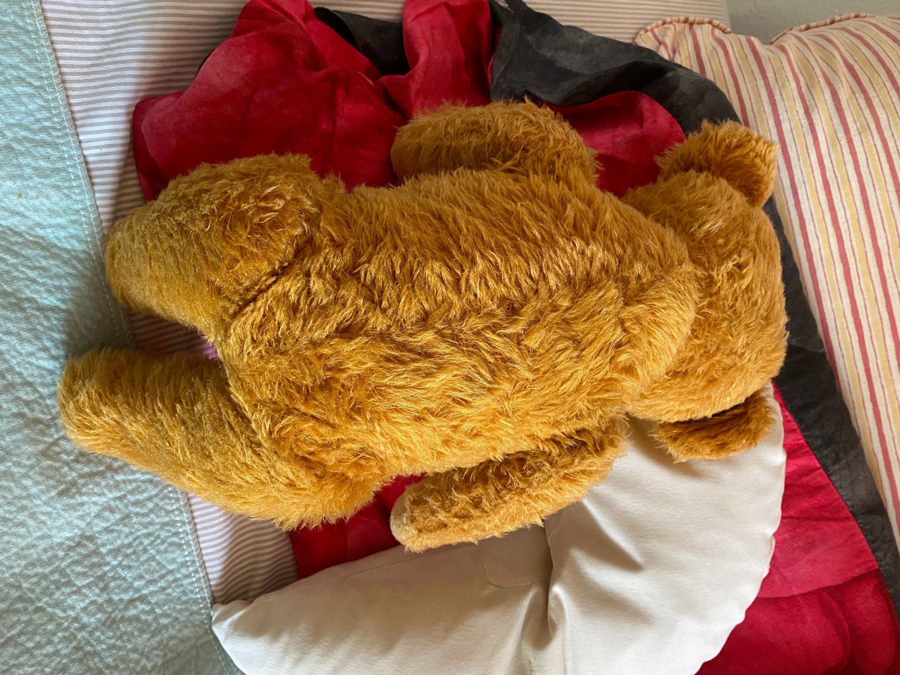 Figuren: Grosser alter Teddy Topzustand – Gebraucht aus Zürich von Pyramid1 2