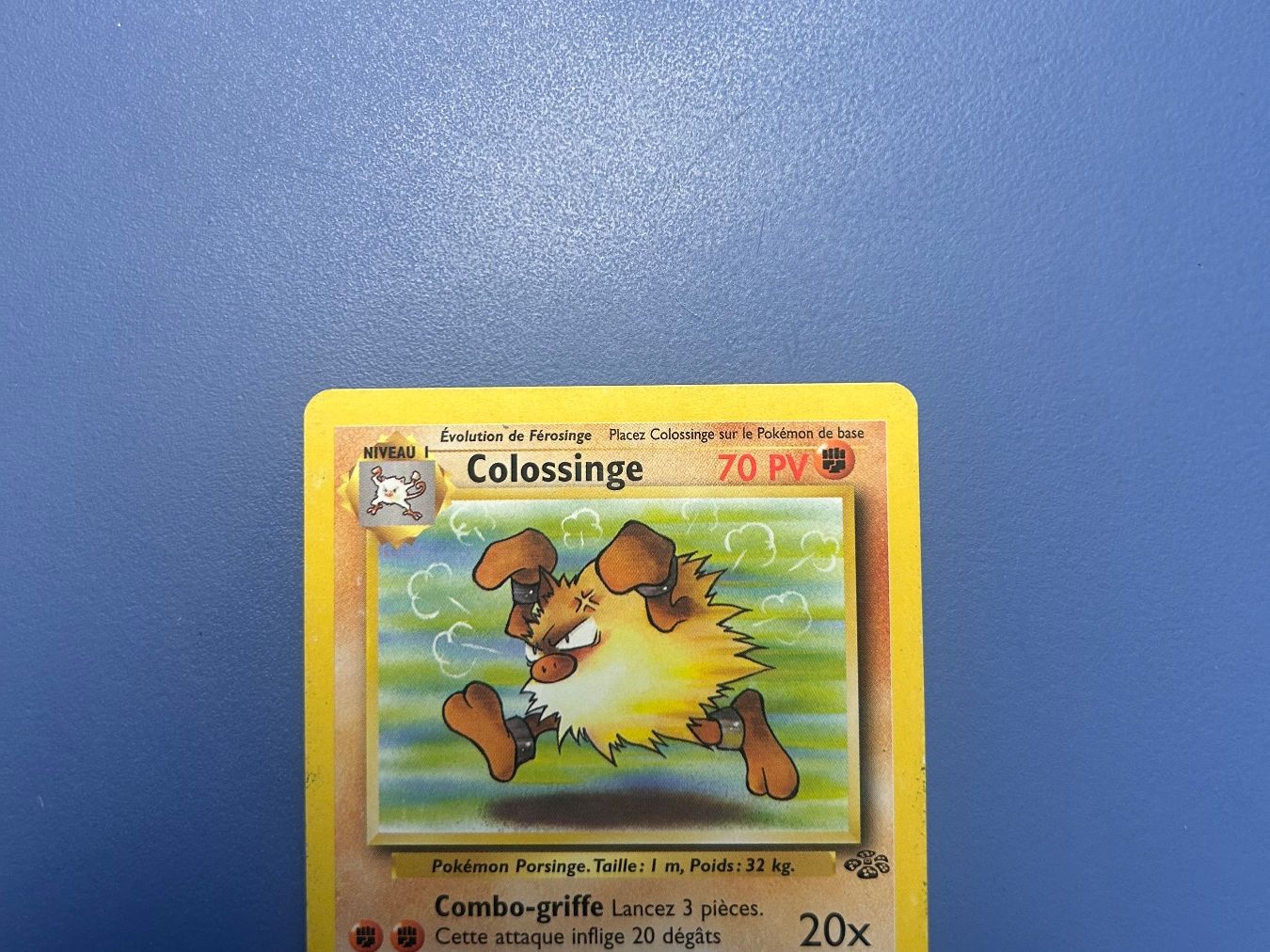 Pokémon Carte collezionabili: 1999 Colossinge Jungle 43/64 FR – Usato da Schlieren venduto da happymerchant64 1