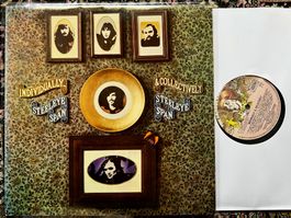Steeleye Span – Individually & Collectively UK LP GEWASCHEN