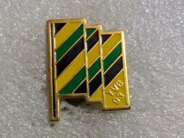 Ansteckpin 230: TVB