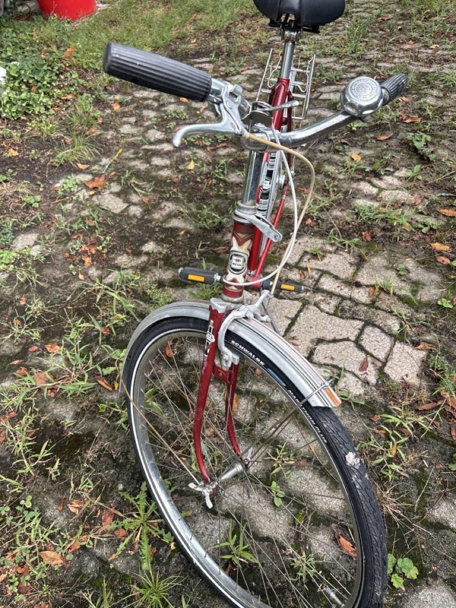 Vélos: Hercules Herrenrad rot  – D'occasion à Marbach SG par dan_62c6 1