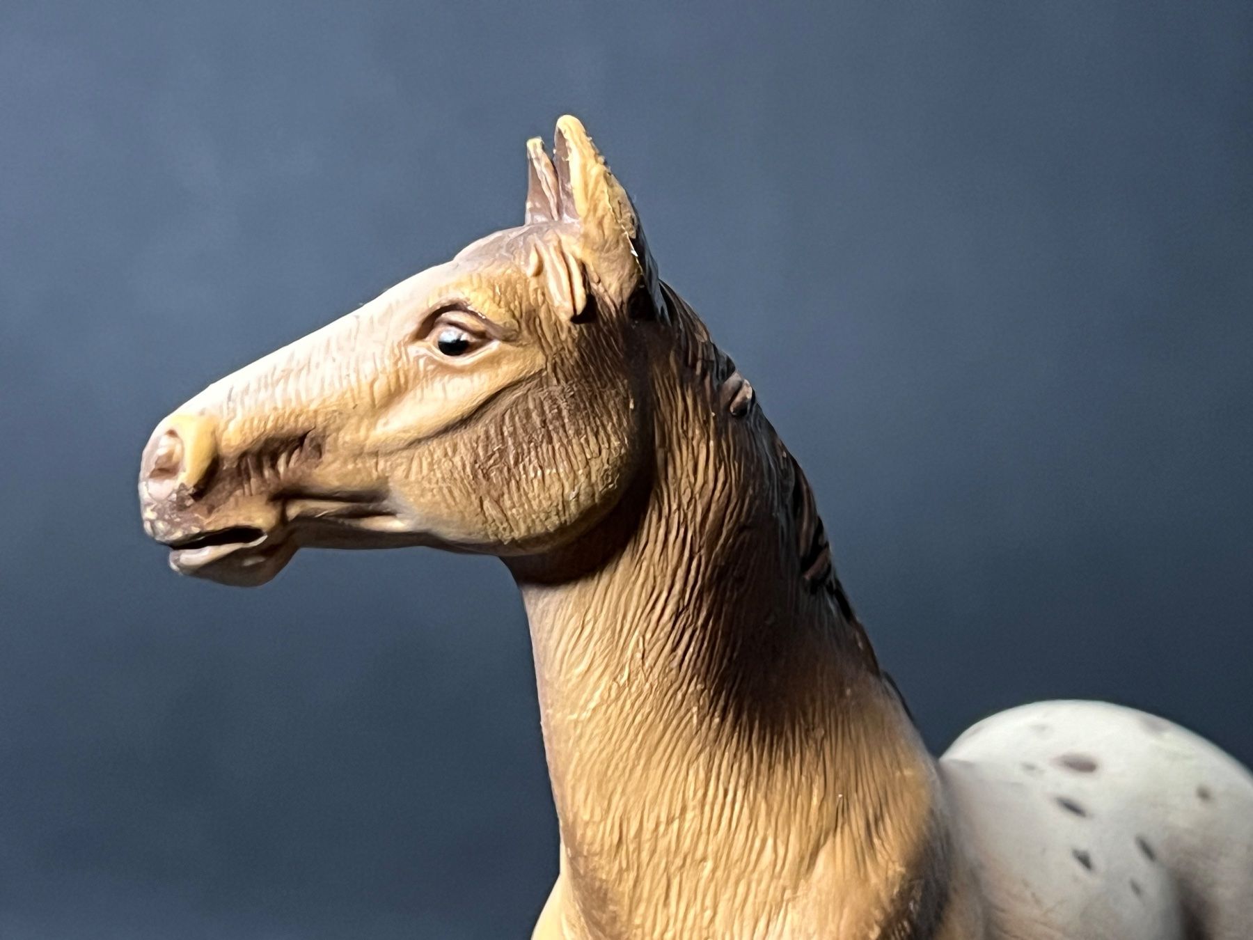 Schleich Statuette: Schleich Appaloosa Hengst Pferd – Usato da Ennetbaden venduto da mapa05 5