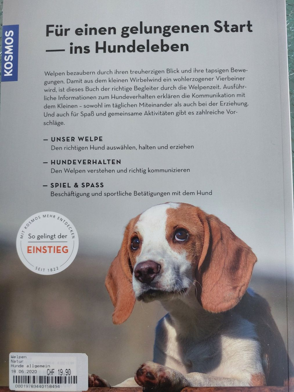 Bücher: Buch Hunde - Welpen Ratgeber – Gebraucht aus Schmitten von Renistern68 1