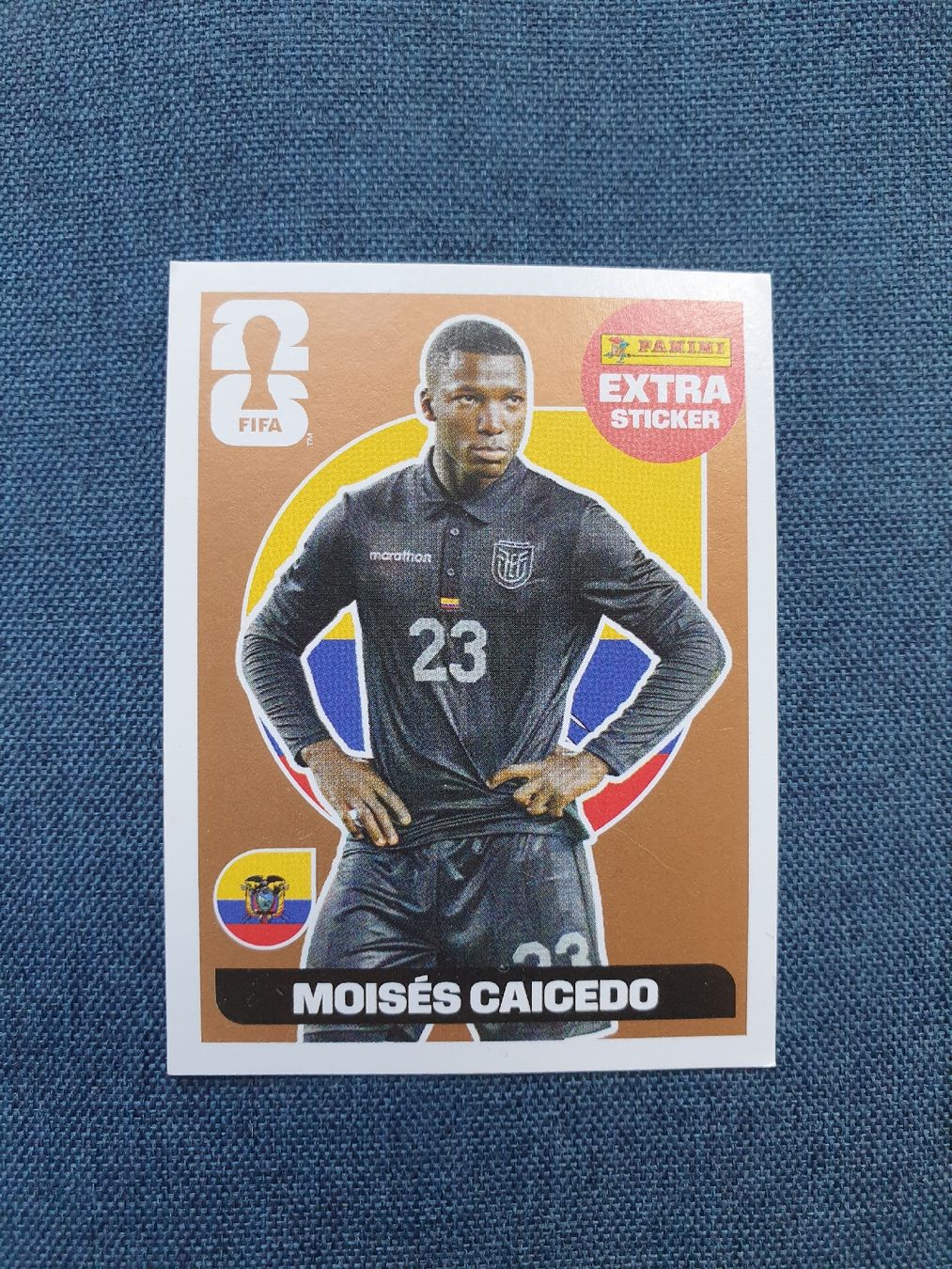 Panini Carte collezionabili: NEU Extra Sticker- Moisés Caicedo – Nuovo e nell'imballaggio originale da Cornaux NE venduto da spidermat