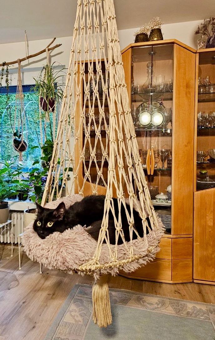 Hängematten: Hängematte für Katze – Neu und originalverpackt aus Adliswil von Ajoure_Atelier