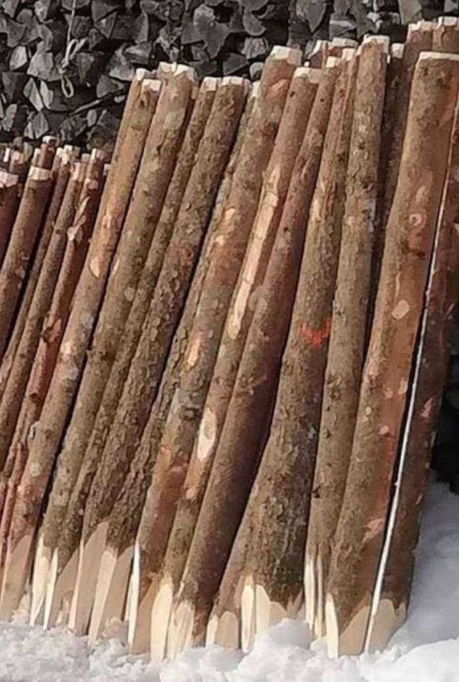Altre attrezzature per stalle: Holzpfähle – Nuovo (secondo la descrizione) da Näfels venduto da Holzknecht 1