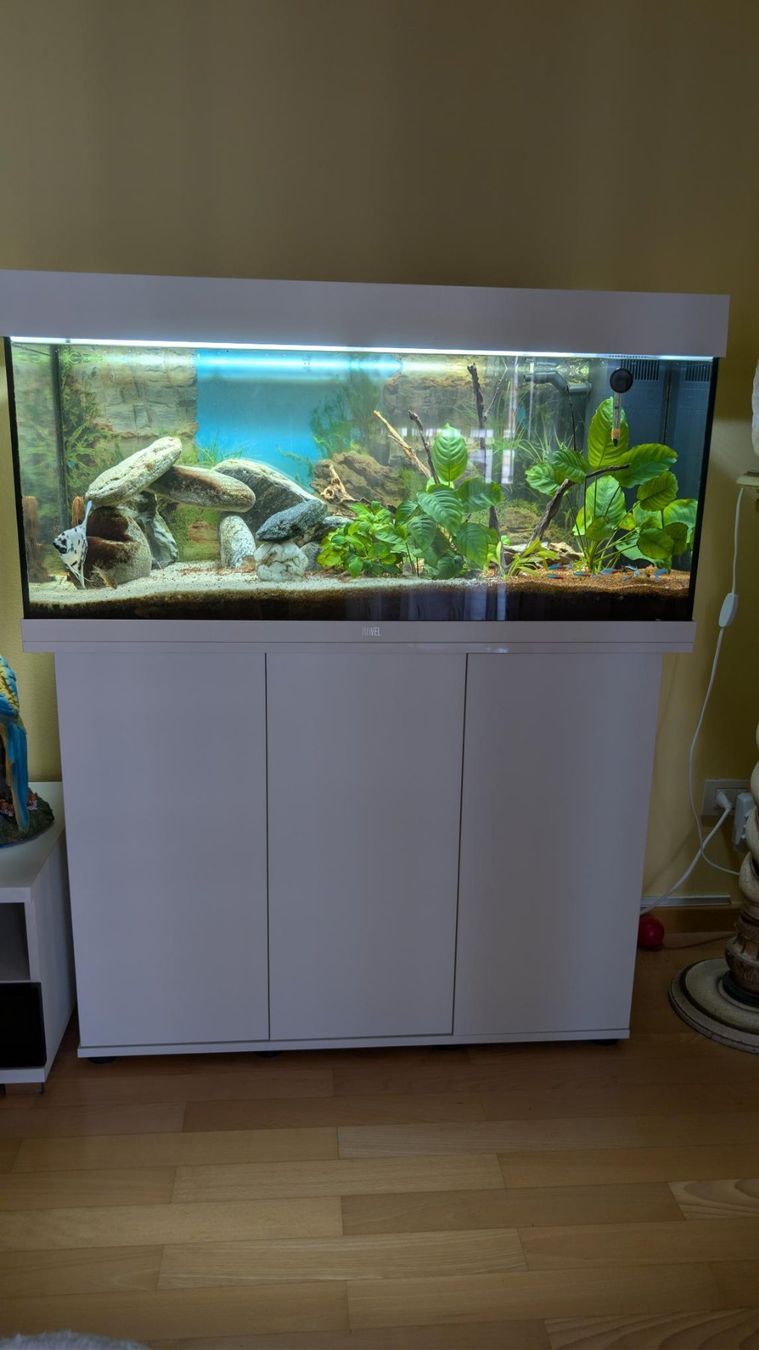 Aquarium: Acquario 160 litri completo – Gebraucht aus Viganello von enz_rds7 3