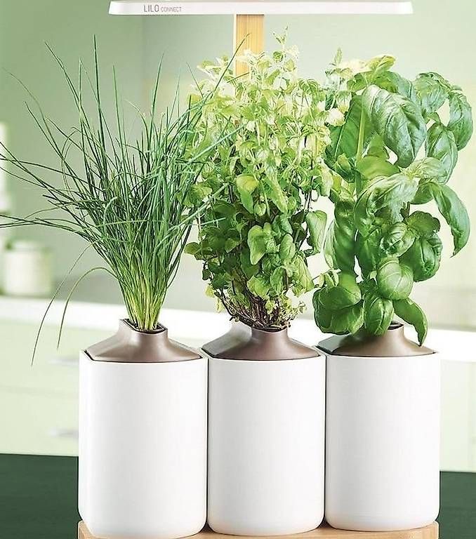 Vasi per fiori: Lilo Connect Indoor-Kräutergarten – Usato da Bern venduto da Remy0 2