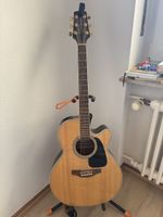 Takamine G Series