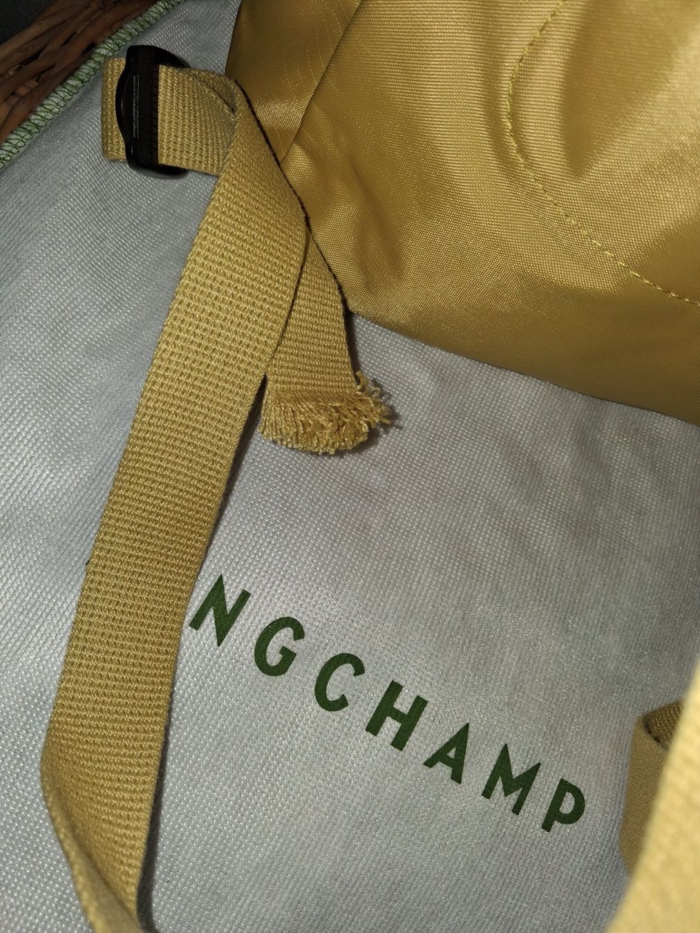 Longchamp Zaini: Longchamp Rücksack – Usato da Wetzikon ZH venduto da med_2y76 6