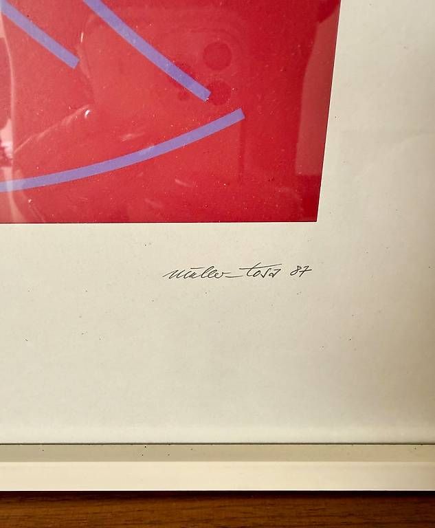 Foto & Immagini: 2er-Set Original-Siebdrucke "Heinz Müller-Tosa" – Usato da Kilchberg ZH venduto da yoa_7ndh 2