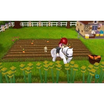 Nintendo Giochi: 😎LEGO Friends 3DS – Usato da Schüpfheim venduto da Games_Spielkonsolen 7