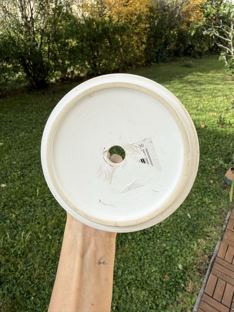 Blumentöpfe: Decorative Ceramic Plant Pot White – Gebraucht aus Zürich von lav_5zdy 4