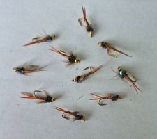 10 Stück  Tungsten Stone Nymphen Hg.10