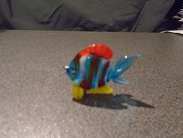 Fisch farbig, Glas