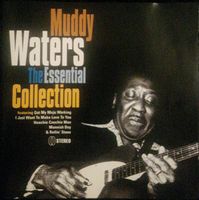 Muddy Waters - inc. "Got My Mojo Working", "Close to You",