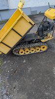 Raupendumper
