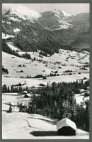AK sw Schönried BE gegen Wilderhorn © Germann ≈ 1950