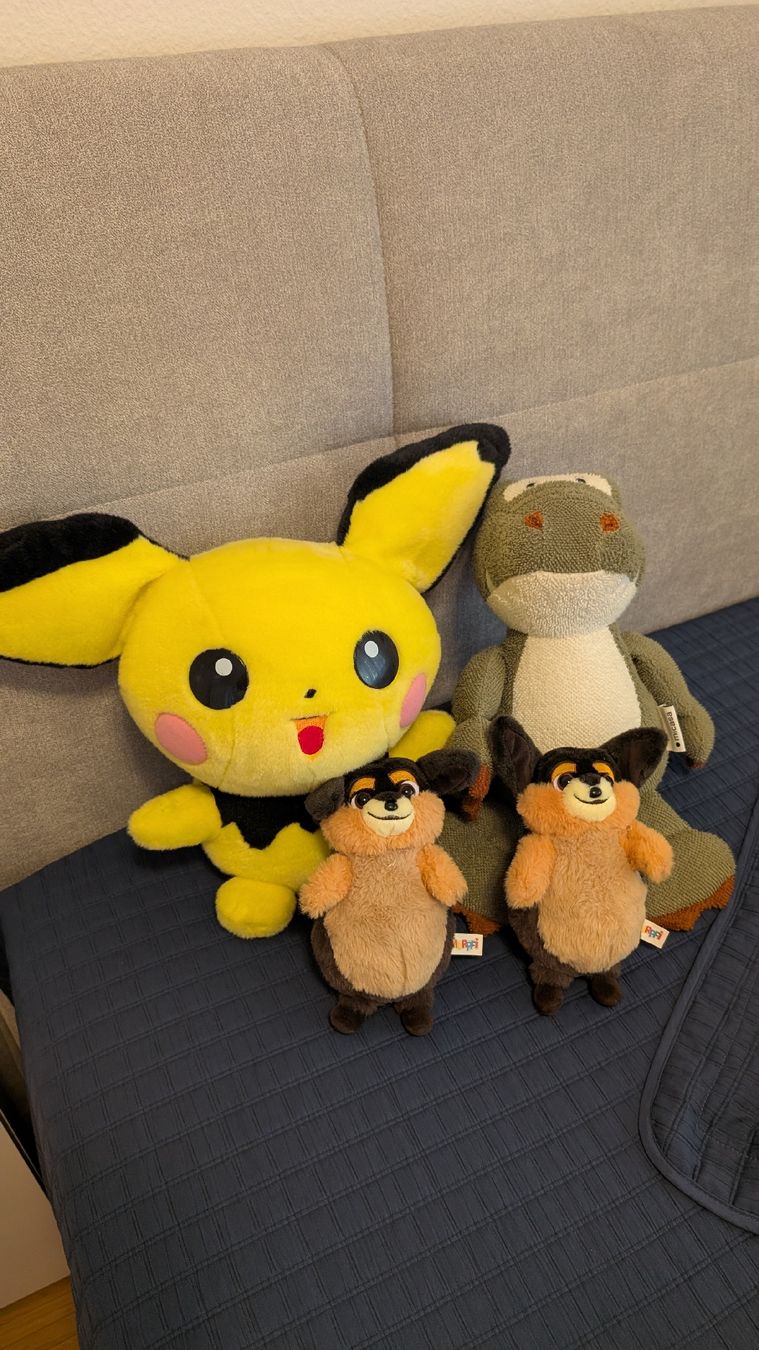 Pokémon Jouets: Plüschtiere Pokemon, Migros Micasa – D'occasion à Birmensdorf ZH par Panshek