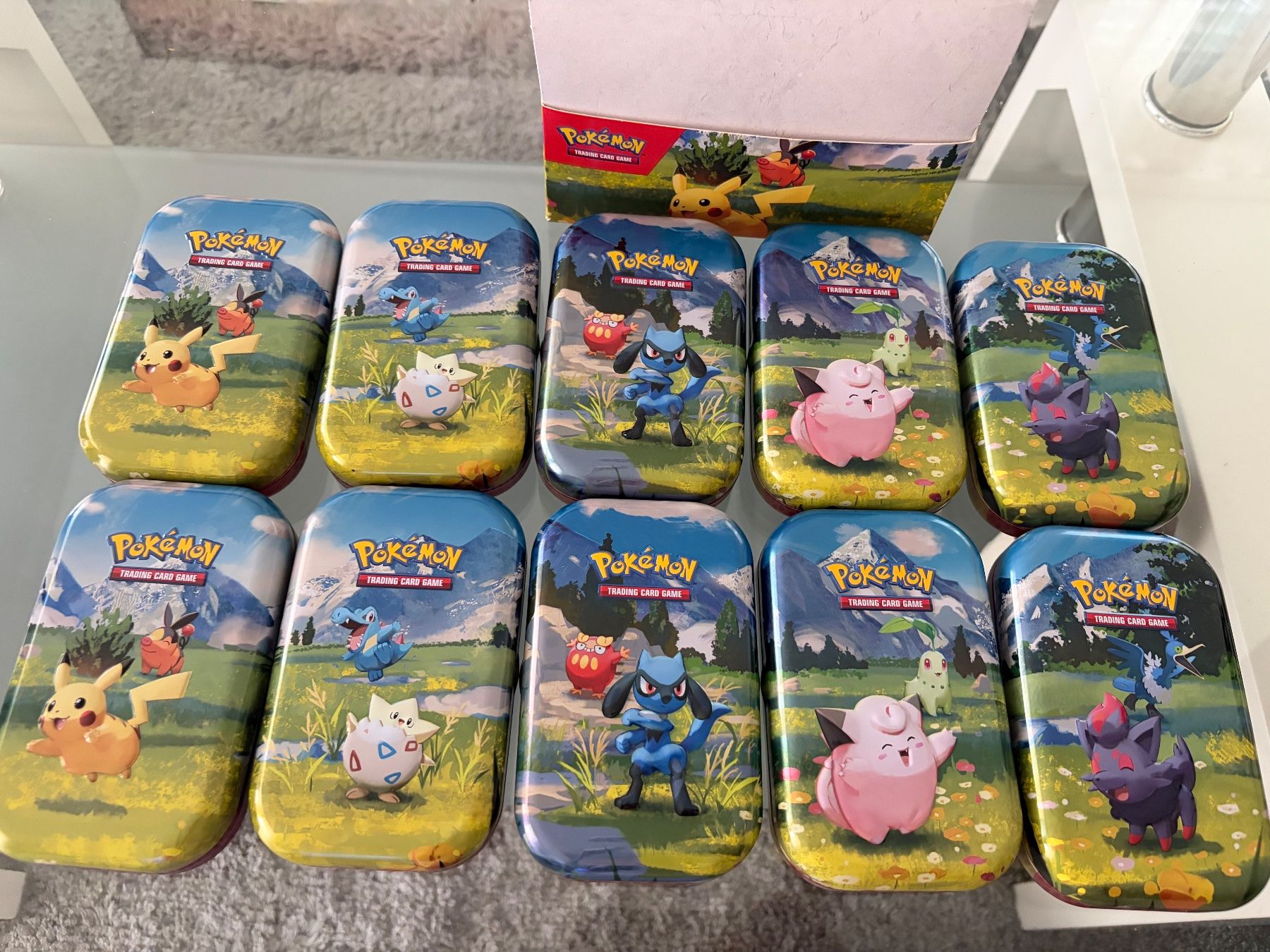Pokémon Carte collezionabili: Empty 10x Mini Tin Pokemon Karten Ascended Heroes – Usato da Galgenen venduto da Miachelle 2