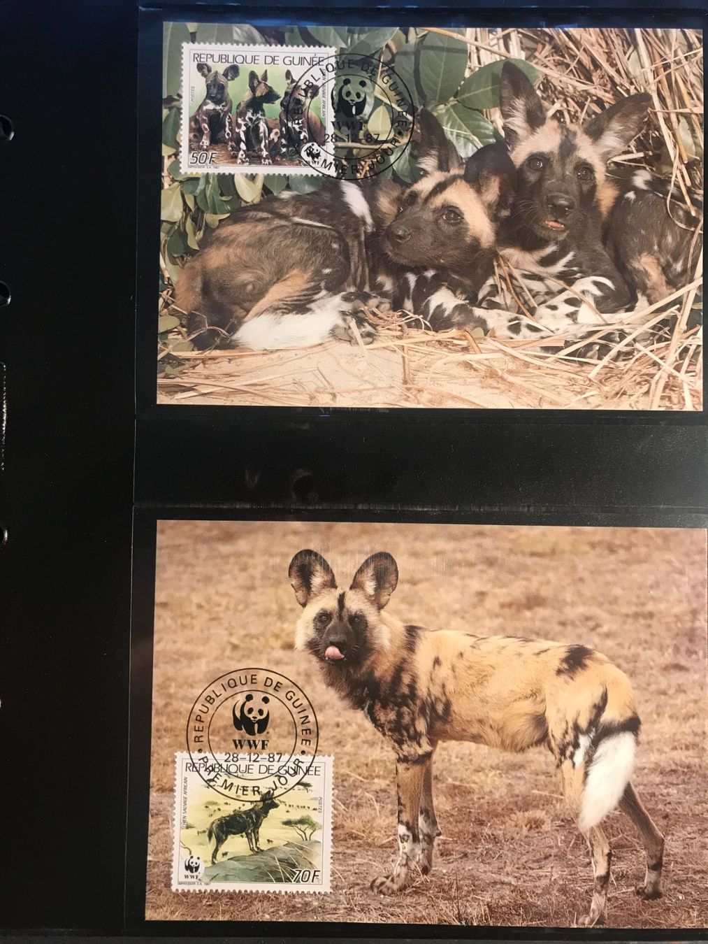 Alle Briefmarken: WWF Guinea 1987 Wildhund Satz Maximumkarten – Neu (gemäss Beschreibung) aus Liestal von schnueps 1