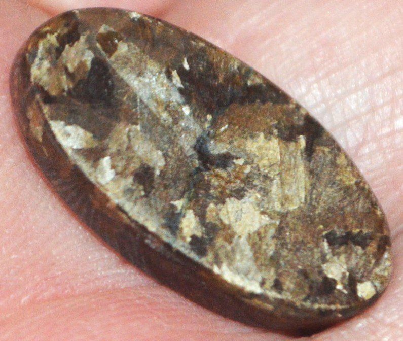 Minerali & Pietre curative: Cabochon L-2202 – Bronzit 23x12mm – Nuovo e nell'imballaggio originale da Goldiwil (Thun) venduto da han_v5b7 9