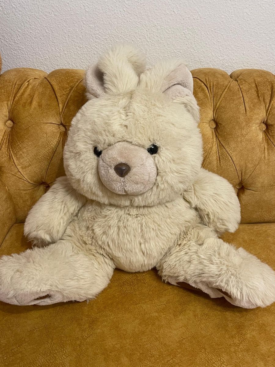 Giocattoli: Teddy 🧸  – Nuovo (secondo la descrizione) da Zürich venduto da sha_207 3