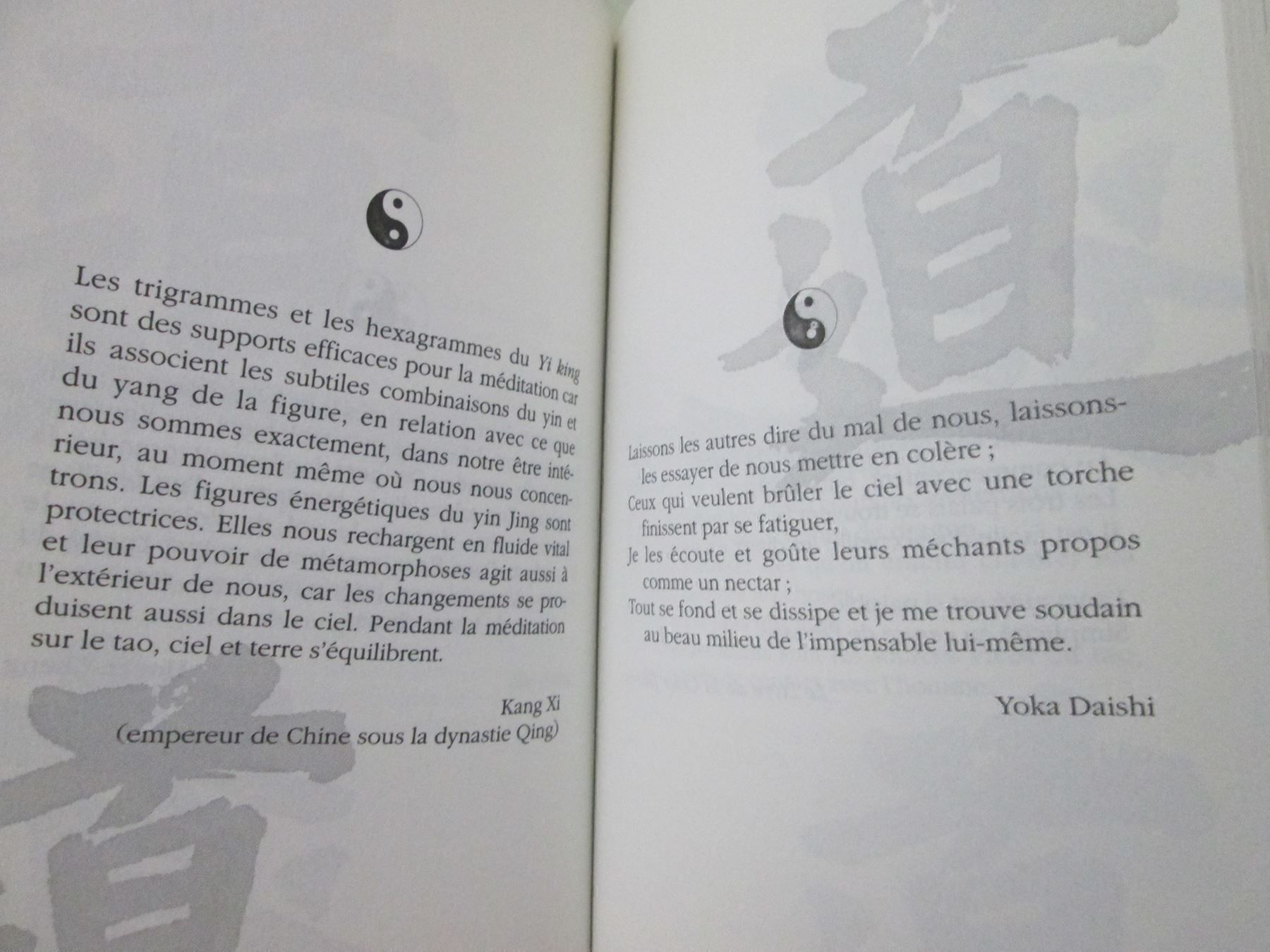 Bücher: Méditations du Tao – Gebraucht aus Neuchâtel von Dualseele 3