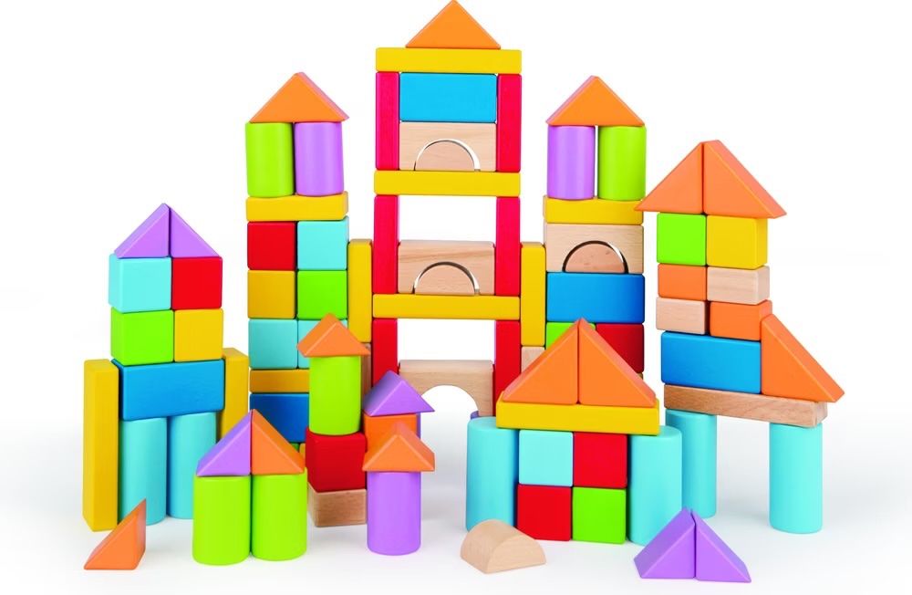 Hape Giocattoli: Hape - Holzbausteine 100 Stück – Usato da Zürich venduto da mickeey 3