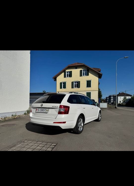 Skoda Automobili: Skoda Octavia 2.0 TDI DSG – Usato da Matzingen venduto da szr_57 2