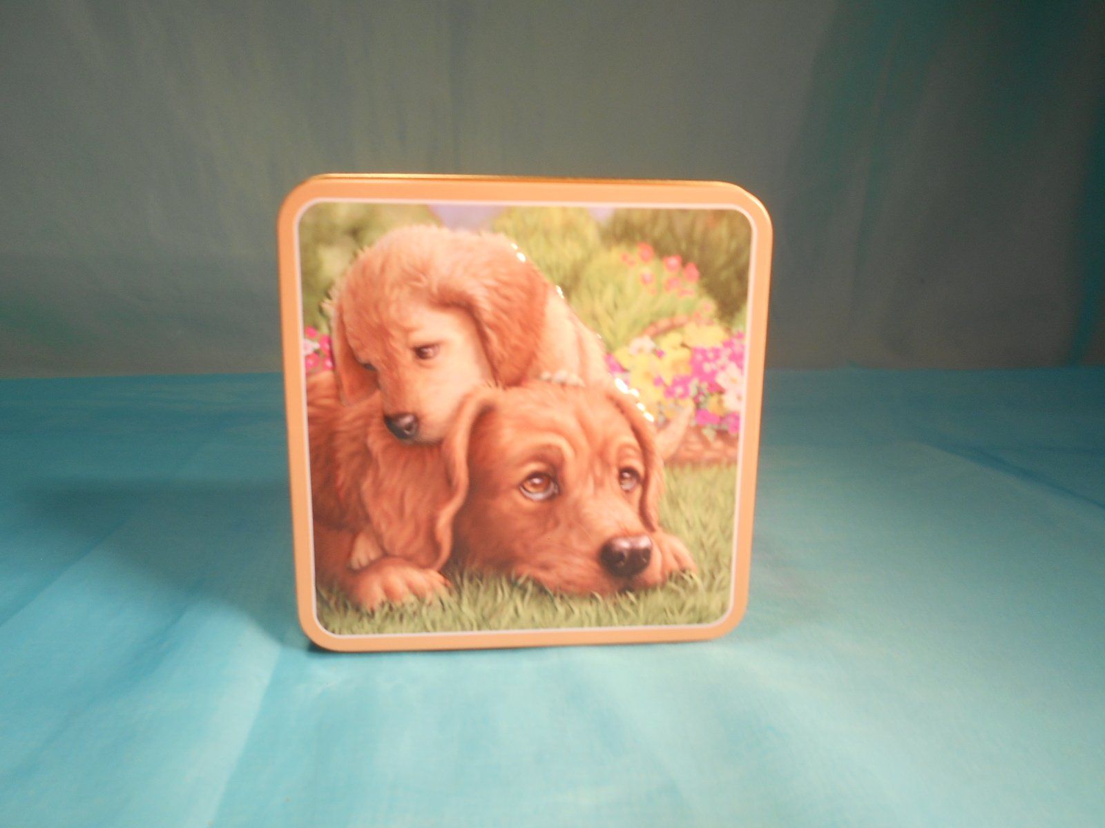 Altro in Decorazioni & Accessori: Blechbüchse, Hunde, 3D Deckel – Usato da Bellach venduto da JingleCherry