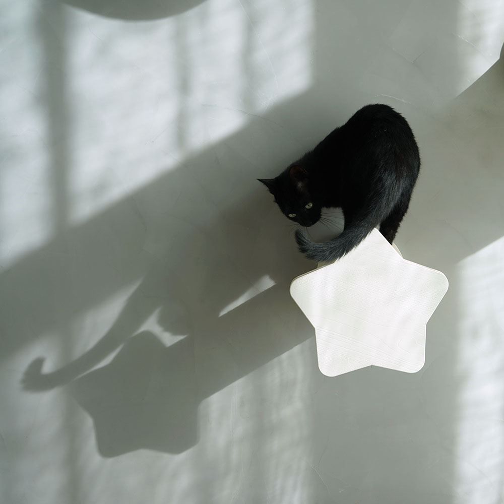 Liege- & Schlafplätze: CatS Kletterwand große Katzen stabil ... – Neu und originalverpackt aus Mönchengladbach von Zoopplier 4