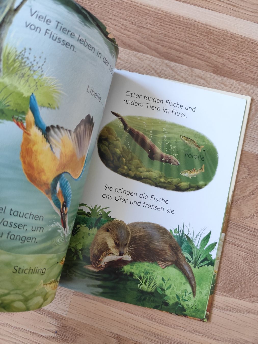 Livres: Waldtiere Usborne – D'occasion à Mägenwil par VintageGirly 2