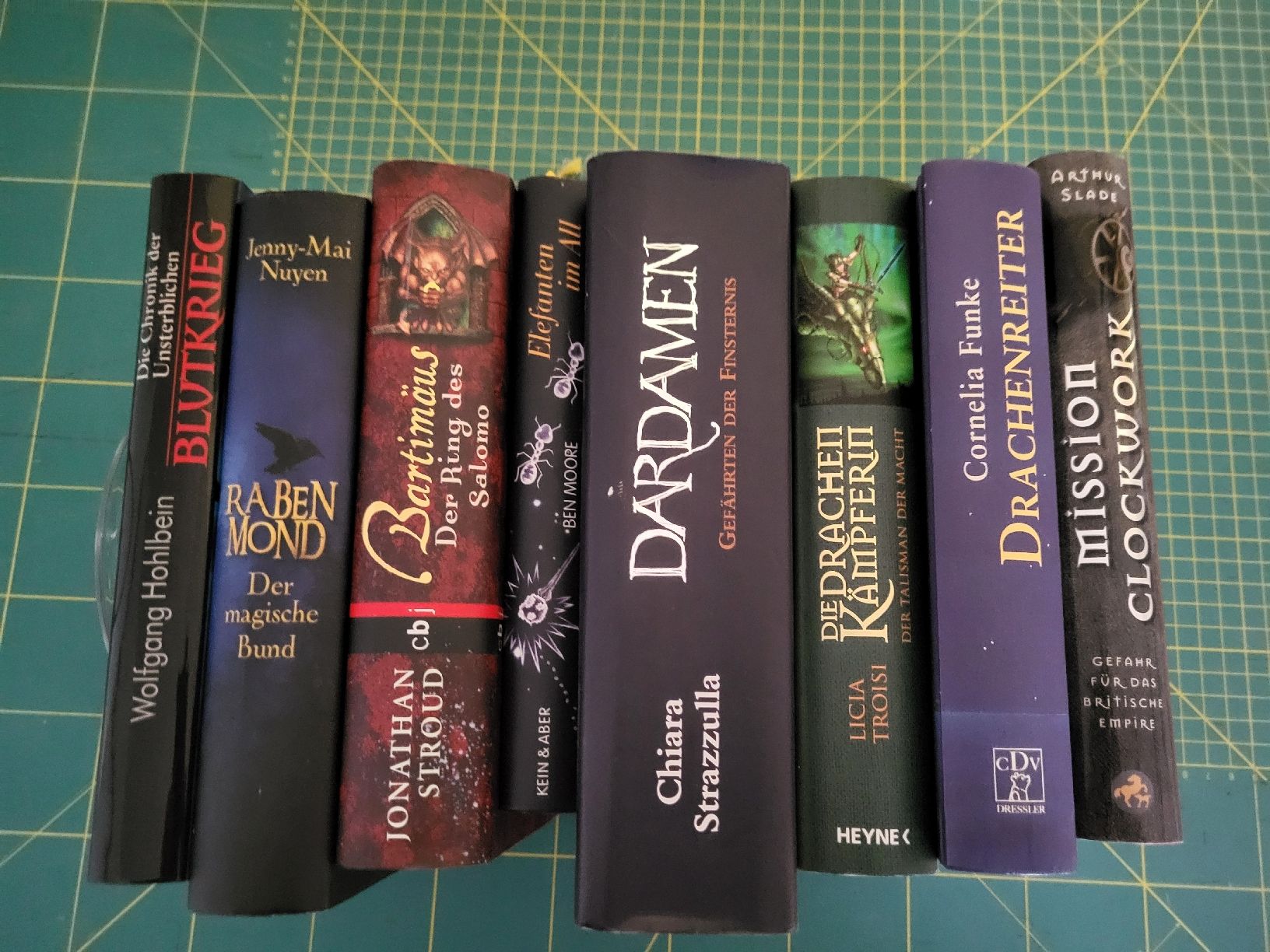 Libri: 8 Fantasybücher – Usato da Möriken AG venduto da Vandine 1