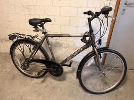 Leopard Citybike Street-Cat Braun | 26″ | 52 cm
