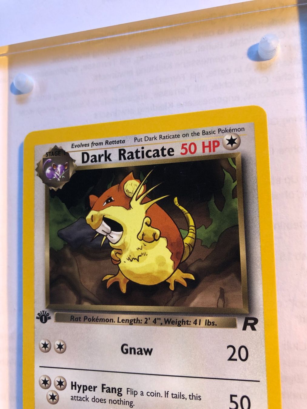Sammelbilder & Trading cards: Dark Raticate 1st Team Rocket - MINT - ab 1.- – Gebraucht aus Giubiasco von dan_pr8b 3