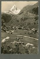 AK sw Zermatt VS und Matterhorn,Cervin ≈ 1957 
