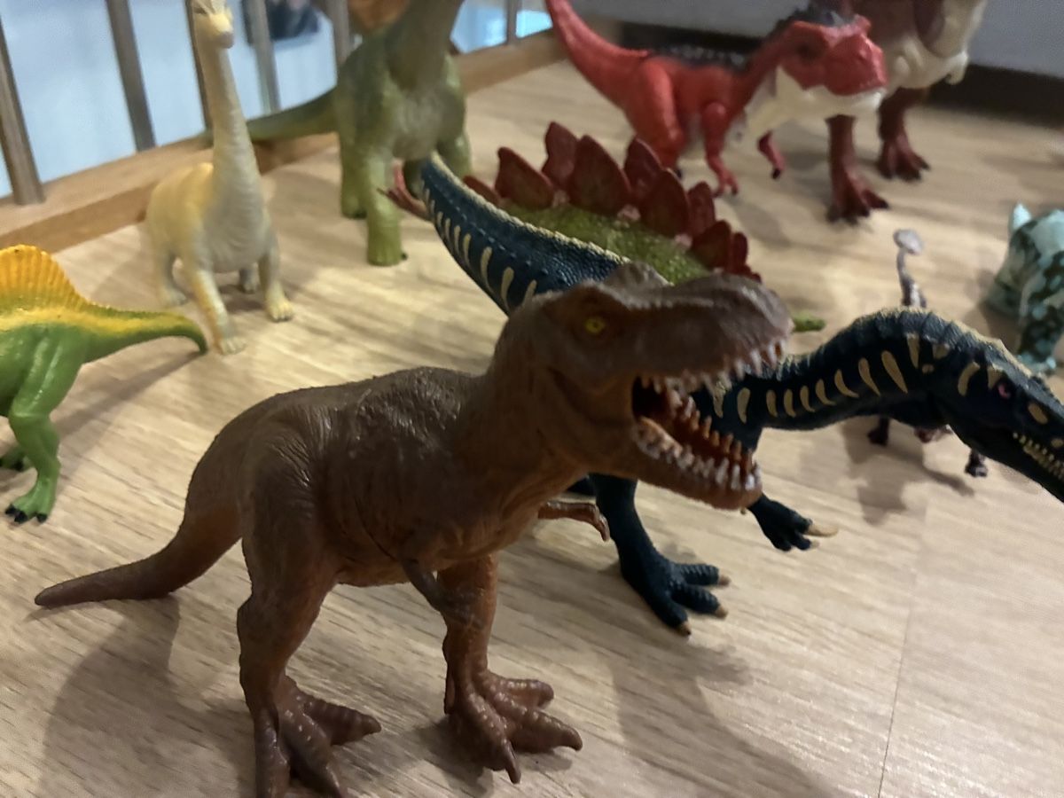 Giocattoli: Dinosaurier-Figuren Set, 20 Stück – Usato da Mitlödi venduto da meyer-sabrina 2