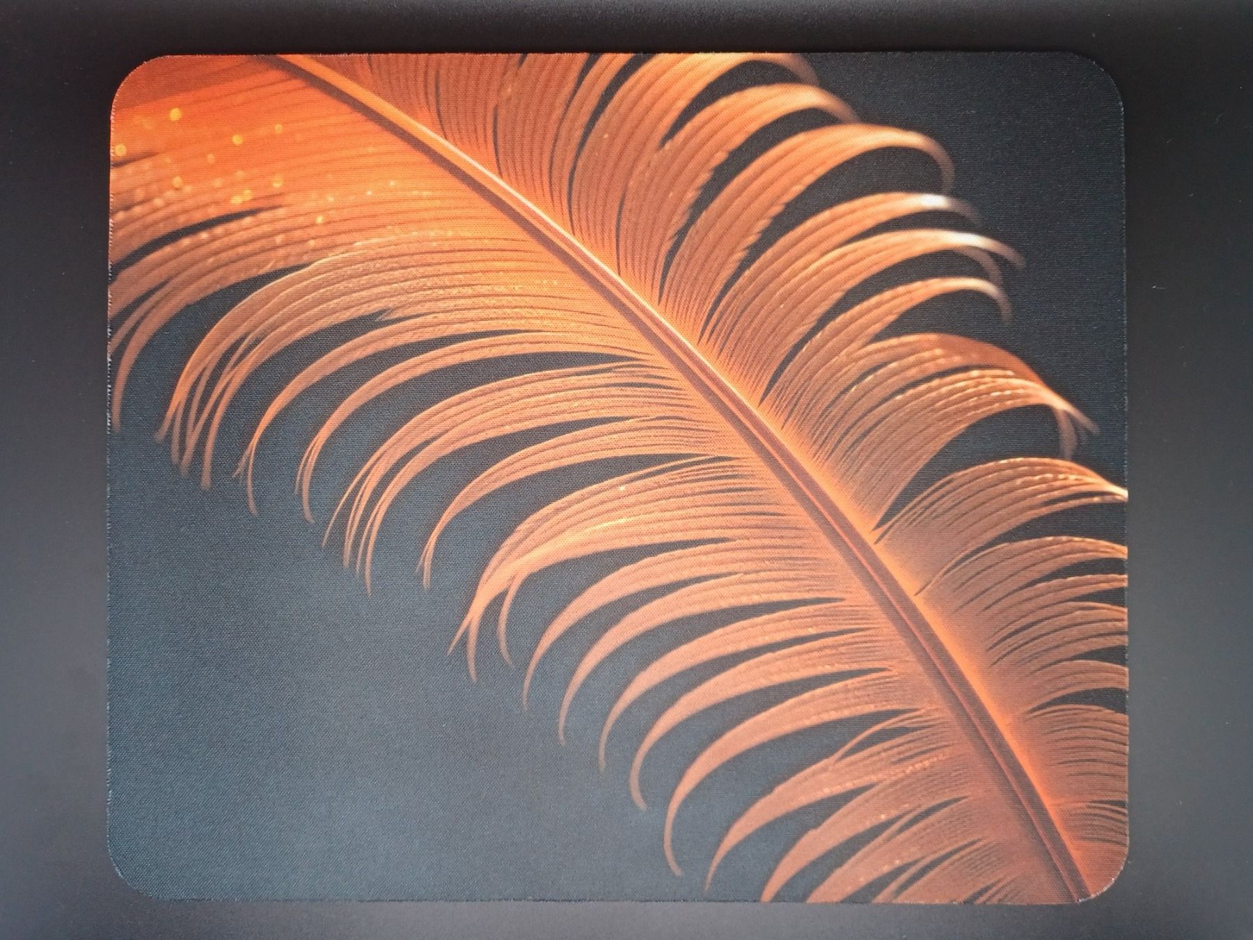 Tappetini per mouse: Mausmatte "Orange Feather" / Mousepad NEU – Nuovo e nell'imballaggio originale da Turbenthal venduto da enjak