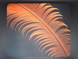 Mausmatte "Orange Feather" / Mousepad NEU