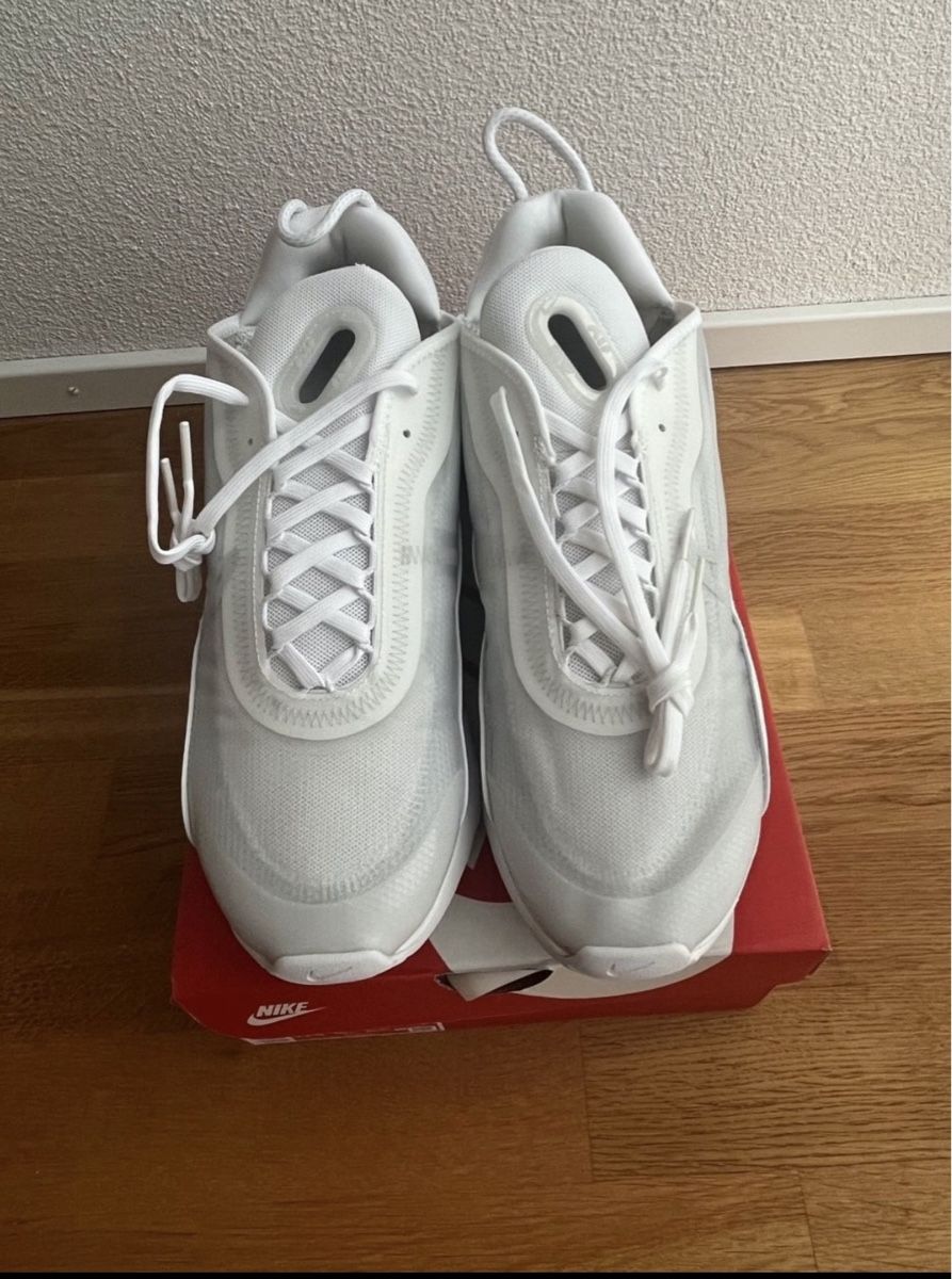 Nike Herrenschuhe: Nike air max 2090 – Neu (gemäss Beschreibung) aus Cossonay-Ville von dfi_kp5m 1