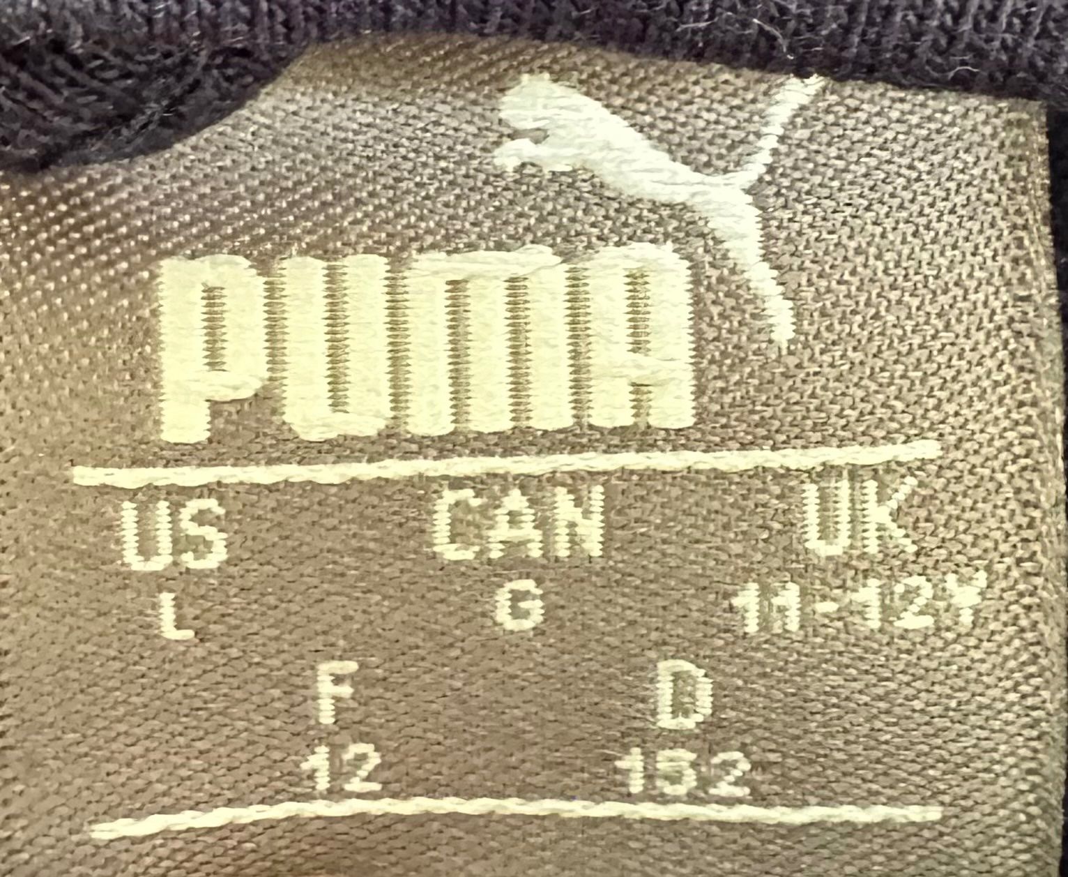 Puma Maglioni & Felpe: Puma zip-up Hoddie Grösse: 152 – Usato da Lausen venduto da Swissart123 1