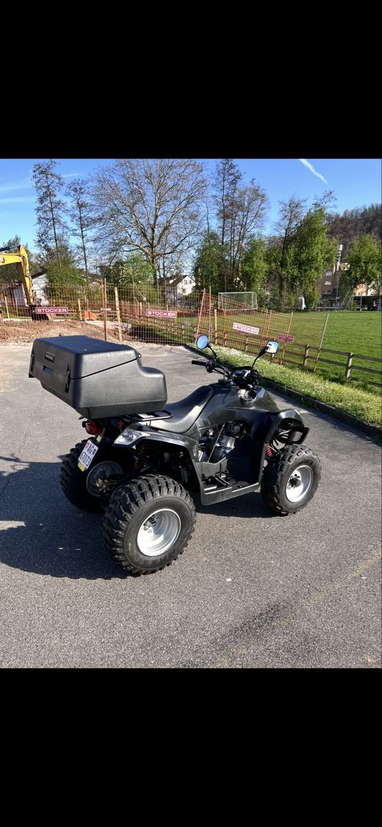 ATV / Quad: Quad Daelim ET250 – Usato da Untersiggenthal venduto da sal_b9fv 1
