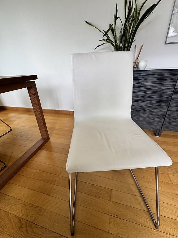 Chaises: Stühle (4 Stk.) – D'occasion à Luzern par cha_c5dt