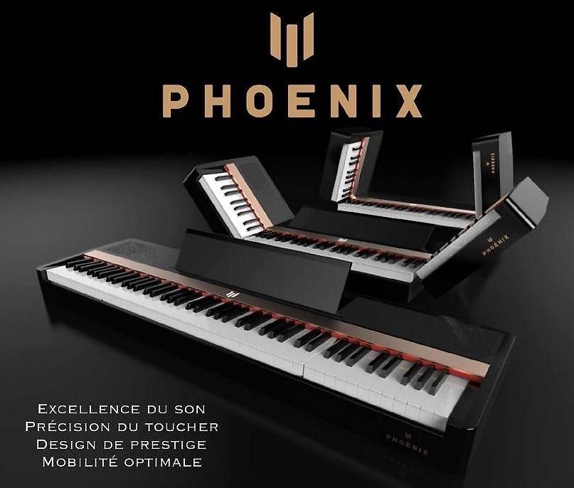 Phoenix Strumenti musicali: PHOENIX Piano numérique – Nuovo (secondo la descrizione) da Borex venduto da mab_28bf 1